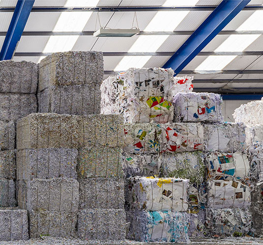 農業/林業/畜産 